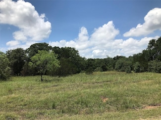 1190 N Lakeview Dr, Palo Pinto, TX 76484