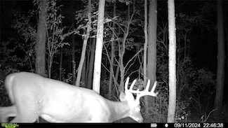 00 Wood Rd, Clayton, NY 13624