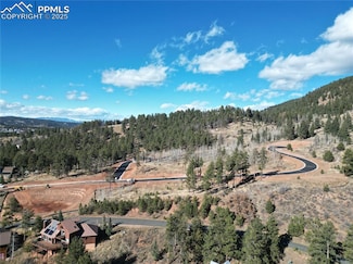 1385 Blue Haven Place, Woodland Park, CO 80863