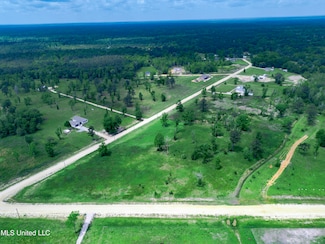 00 Moses Cove, Picayune, MS 39466