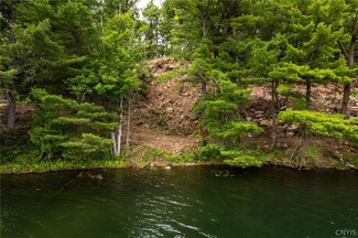 0 Beachfront Ln Unit S1548686, Theresa, NY 13691