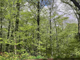 0 Big Bend Loop Unit 5039354, Wilmington, VT 05363