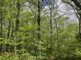 139 Big Bend Loop, Wilmington, VT 05363