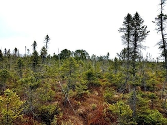 OFF Jacks Rd, Flambeau, WI 54555