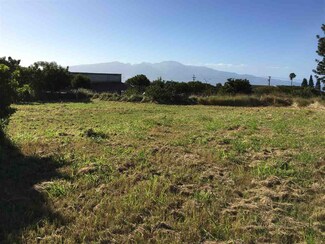 10 Mohala Place, Makawao, HI 96768