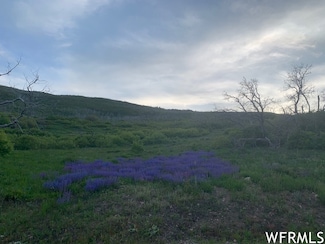 26 Q Puma Rd Unit Q-26, Indianola, UT 84629