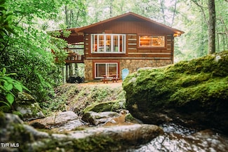 202 Blue Grass Rd, Roan Mountain, TN 37687