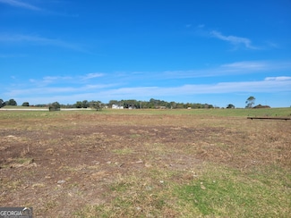 0 Sandy Cross Rd Unit 10654075, Carnesville, GA 30521