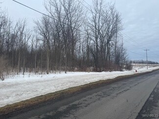 0 Shelby Basin Rd, Shelby, NY 14103