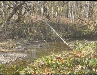 0 Sauk Rd Unit NWM2401372, Rockport, WA 98237