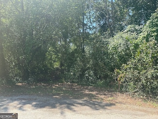 0 Cherokee Ln Unit 10419485, Lavonia, GA 30553