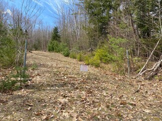 0 Barrows Rd, Sumner, ME 04292