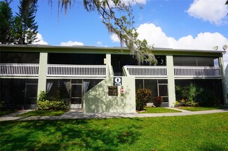 1775 Cupecoy Cir Unit O4, Lutz, FL 33558