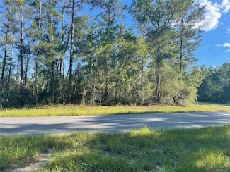 0 SW 35th Ave, Ocala, FL 34476