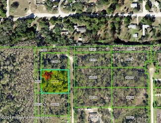 19025 Retriever Rd, Brooksville, FL 34614
