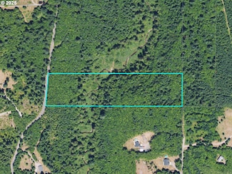 0 NE Elliott Rd Unit 58 730069237, Yacolt, WA 98675