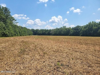 1604 N Old Canton Rd, Canton, MS 39046