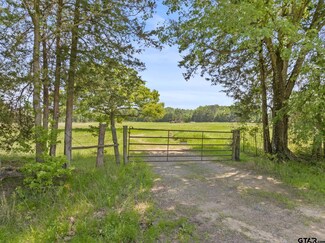 TBD County Road 3324, Pittsburg, TX 75686