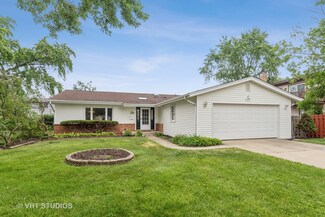 1121 S Cherrywood Dr Unit 8, Mount Prospect, IL 60056