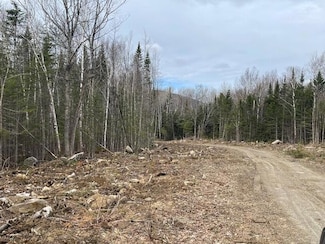 Lot 117 Big Snow Way, Rangeley, ME 04970
