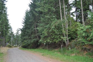 0 Morris Blvd Unit 854827, Steilacoom, WA 98388