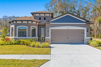 11347 Weaver Hollow Rd, New Port Richey, FL 34654