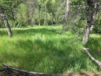 16368 Lariat Loop, Corning, CA 96021