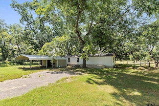 630 County Road 4607, Ben Wheeler, TX 75754