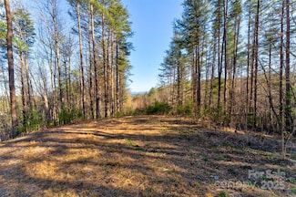 9144 Yellow Pine Rd, Nebo, NC 28761