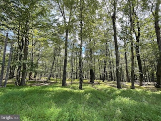 116 Spring Mountain Dr, North Union Township, PA 17985