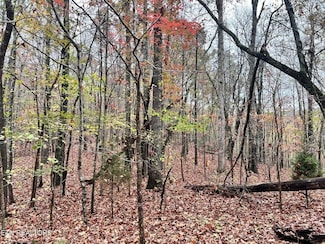 0 Raby Hollow Rd, Kingston, TN 37763