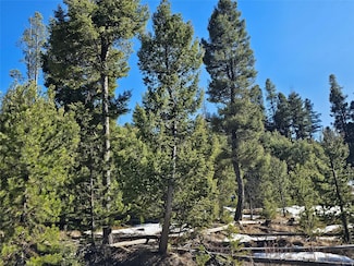 NHN Elkhorn Rd, Helmville, MT 59843