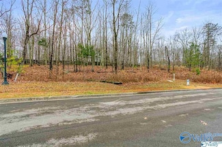 13 Winter Walk Way SE, Huntsville, AL 35803