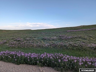 0 Chaps St, Laramie, WY 82070