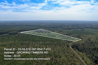 Lot 13 Growing Timbers Rd, Crawfordville, FL 32327