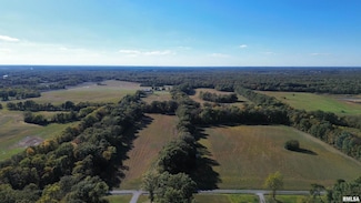 6375 S Forest Church Rd, Browning Township, IL 62812