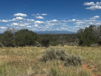 TBD Road 15, Yellow Jacket, CO 81335