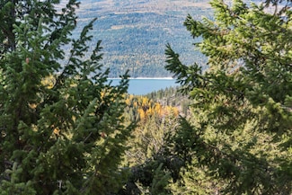 Nhn Paradise Ridge Rd, Rexford, MT 59930