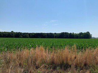 Lot 11 Springvale Rd, Bishopville, SC 29010