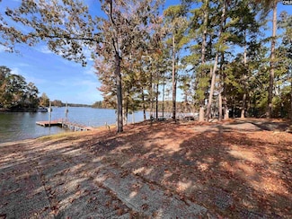 209 Lynch Ln, Chapin, SC 29036