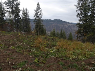 1684 Tranquil Lane (#1), Orofino, ID 83544