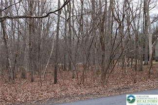 21 Piney Woods Dr, Jim Thorpe, PA 18229