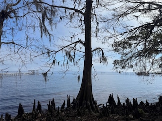 0 NE 310th Ave, Salt Springs, FL 32134