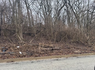 Lot 26, Block 1 Vaca Fairview Ave, Joliet, IL 60432