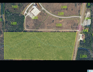 0 Alabama Highway 77 Unit 42 Acres 21413831, Ohatchee, AL 36271