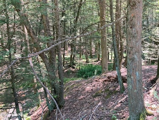 0 Green Creek & Youngs Hill Rd Unit WB-99370, Benton, PA 17814