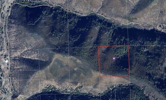 40 Acres Cline Gulch Rd, French Gulch, CA 96033
