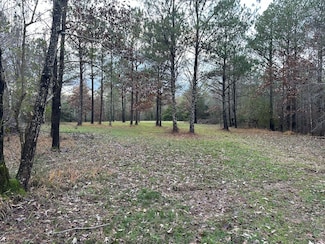 0 Alabama 19, Vina, AL 35593