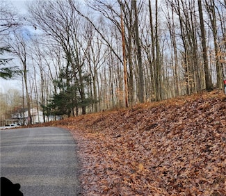 324 Woolendean Rd, Treasure Lake, PA 15801