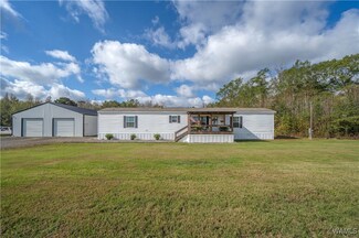 19398 Vic Green Rd, Northport, AL 35475